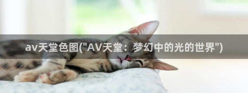 西瓜AV电影