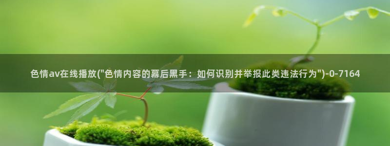 AV成人视频在线