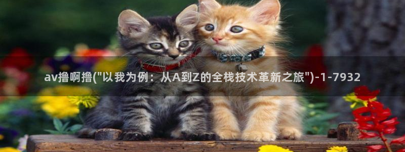 av伦理在线观看