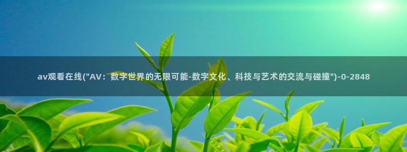 av视频免费在线