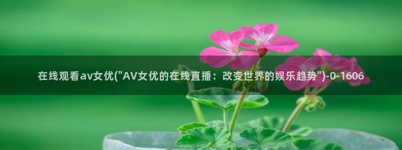 Av网站谁有