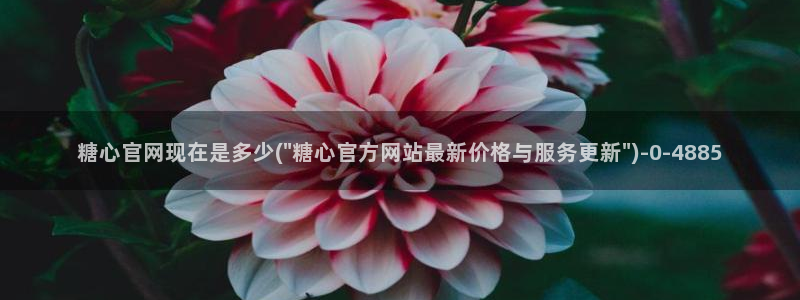 糖心vlog樱桃：糖心官网现在是多少(\