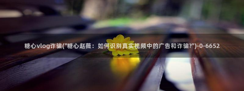 糖心vlog9.1：糖心vlog诈骗(\
