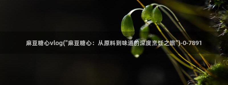 糖心vlog入口网页：麻豆糖心vlog(\