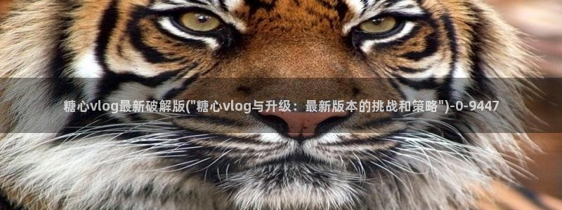 糖心vlog国产剧