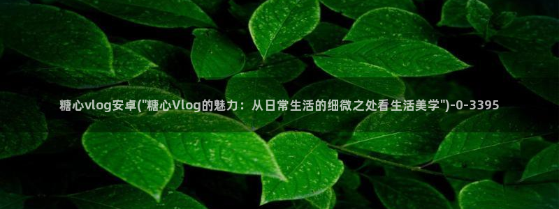 糖心vlog 星辰