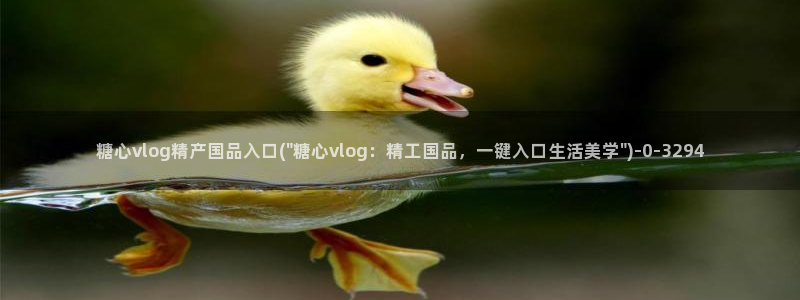 心糖vlog免费版
