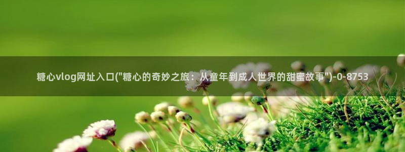 91糖心vlog下载