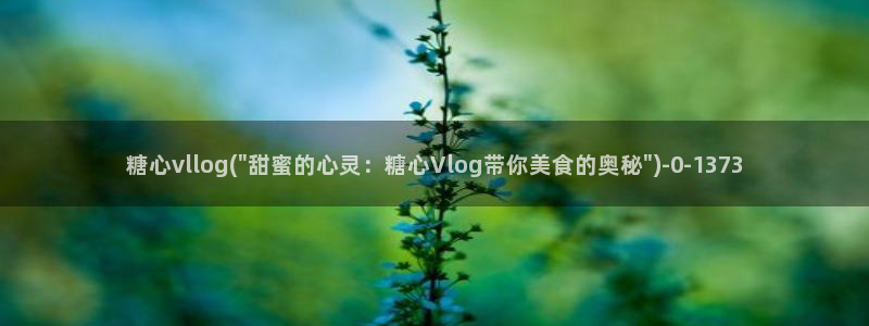 糖心vlog号：糖心vllog(\