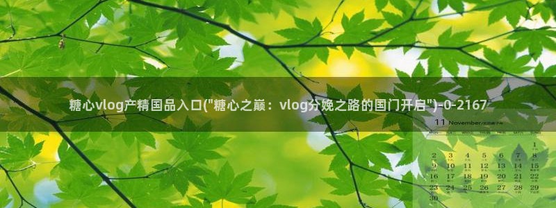 糖心vlog 入口：糖心vlog产精国品入口(\